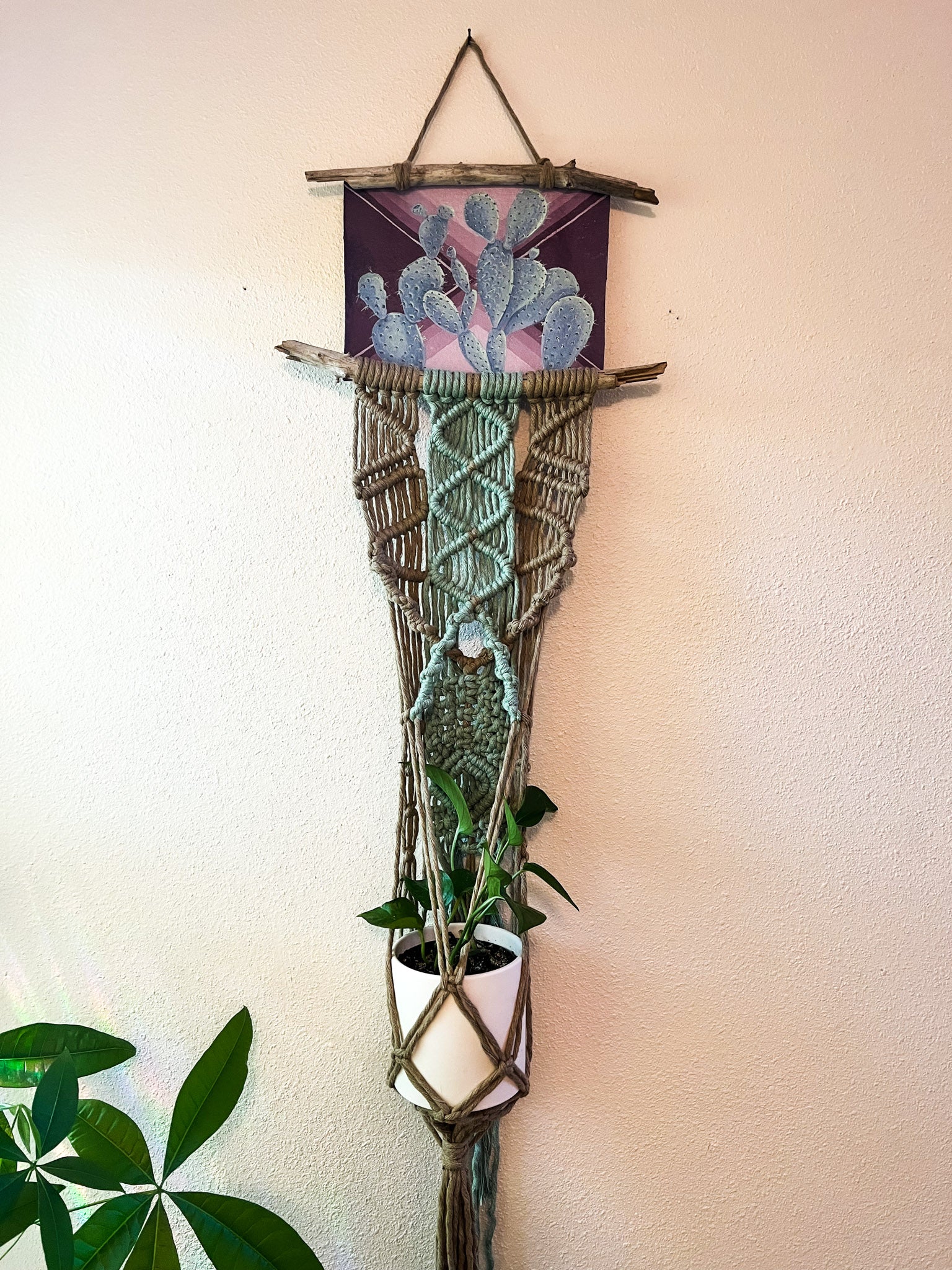Shiny Spiney Painted Plant Hanger