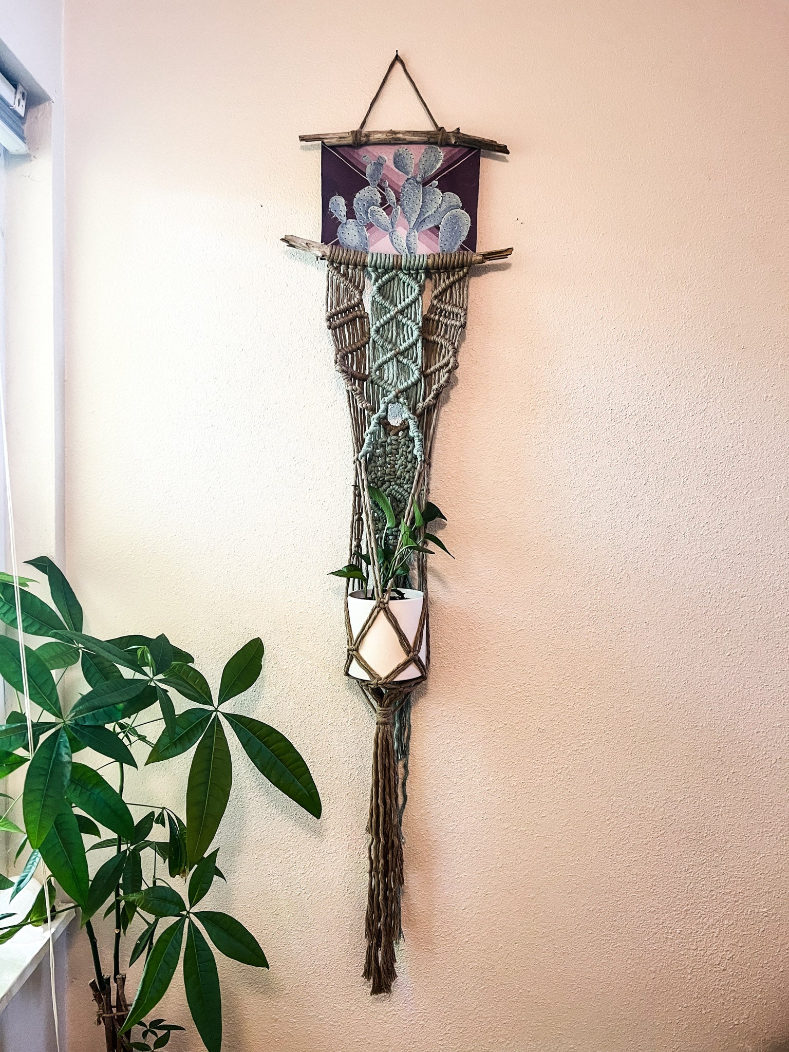 Shiny Spiney Painted Plant Hanger